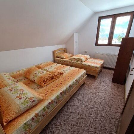 Cabană familial(ă) cu vedere spre munte pentru 9 pers. (se inchirieaza doar integral)