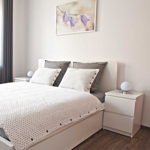Apartament cu duș cu bucătărie proprie cu 1 camera pentru 2 pers.