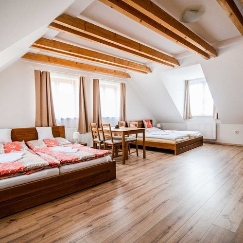 Apartament cu 1 camera pentru 4 pers. (se poate solicita pat suplimentar)