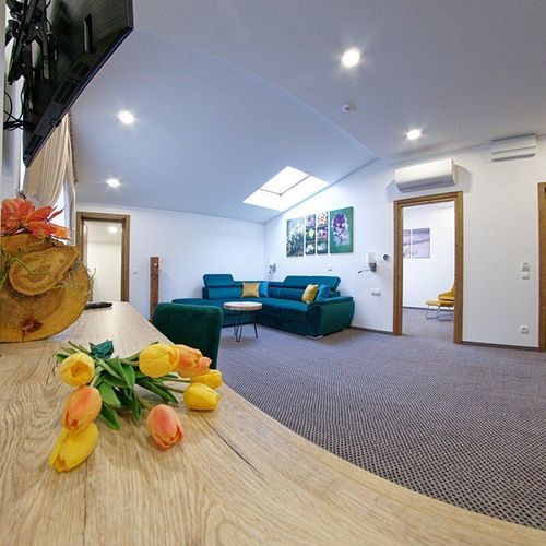 Apartament deluxe cu 1 camera pentru 2 pers.