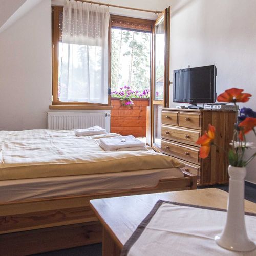 Apartament 2-osobowy Studio z prysznicem (możliwa dostawka)