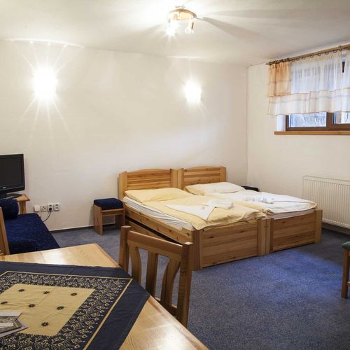 Apartament 2-osobowy Studio z prysznicem (możliwa dostawka)