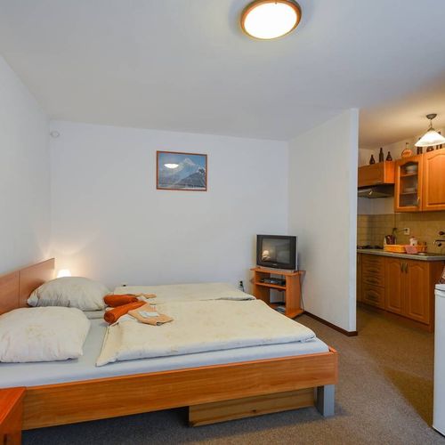 Apartament 2-osobowy z prysznicem z aneksem kuchennym z 1 pomieszczeniem sypialnianym (możliwa dostawka)