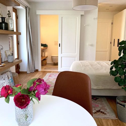 Apartament premium la parter cu 1 camera pentru 2 pers.