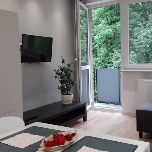 Apartament confort cu balcon cu 2 camere pentru 4 pers.