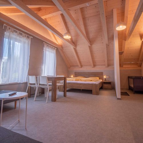 Apartament studio cu chicinetă proprie cu 1 camera pentru 2 pers. (se poate solicita pat suplimentar)