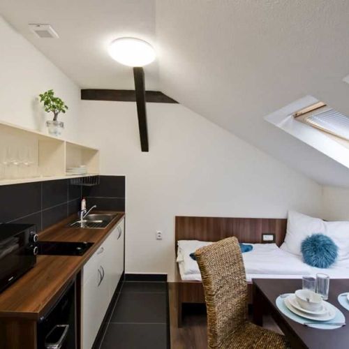Apartman se sprchou s manželskou postelí s 1 ložnicí v podkroví