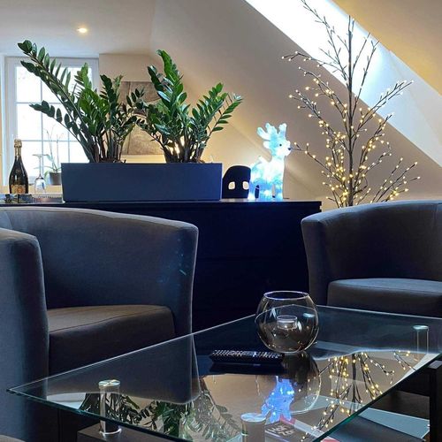 Deluxe Studio Apartman pro 3 os. s 1 ložnicí (s možností přistýlky)