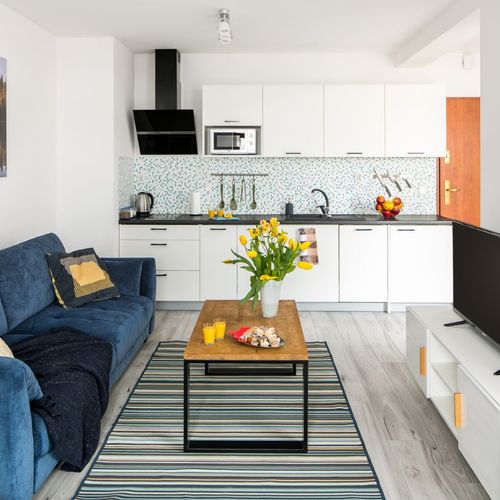 Apartament classic studio cu 1 camera pentru 4 pers.