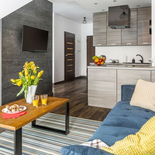 Apartament deluxe studio cu 1 camera pentru 4 pers.