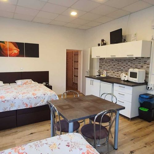 Apartament cu duș cu chicinetă proprie cu 1 camera pentru 3 pers.