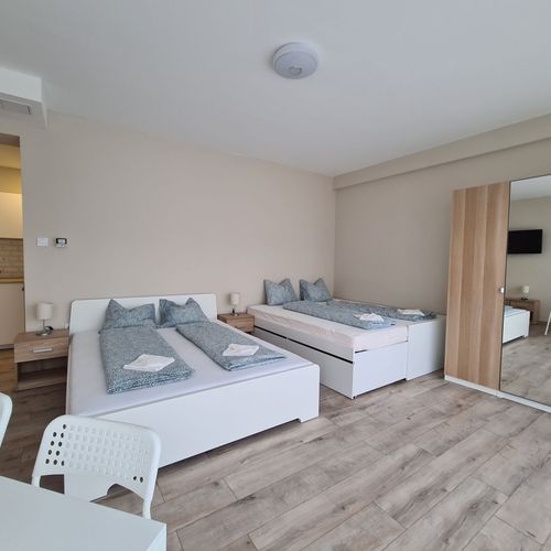 Apartament standard familial(ă) cu 1 camera pentru 4 pers.