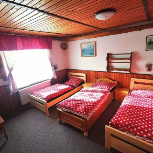 Apartament cu duș cu chicinetă proprie cu 2 camere pentru 4 pers.