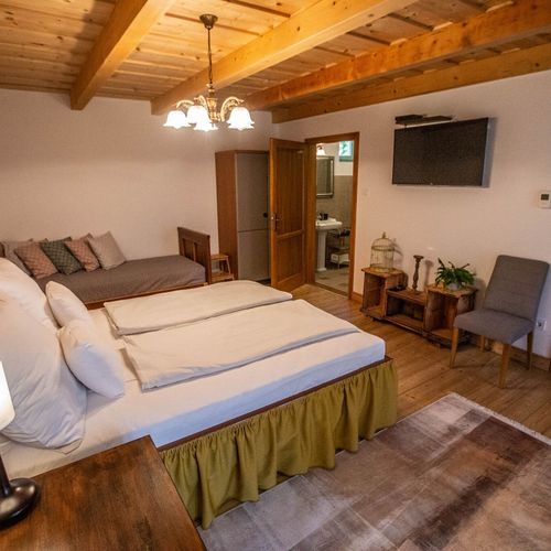 Apartament classic la parter cu 1 camera pentru 3 pers.