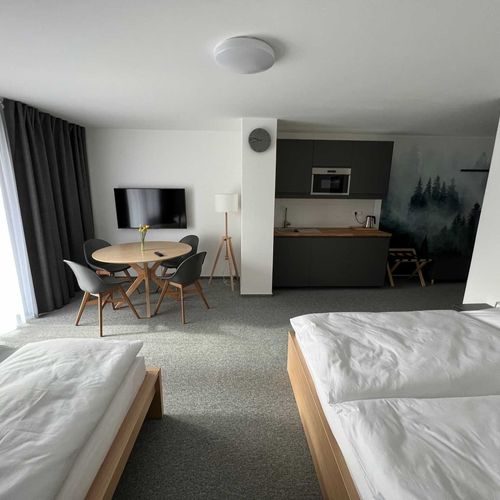 Apartament cu duș cu chicinetă proprie cu 1 camera pentru 4 pers.