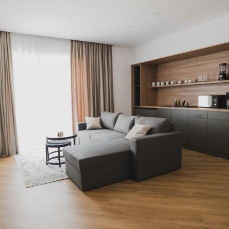 Apartament deluxe cu 1 camera pentru 3 pers.