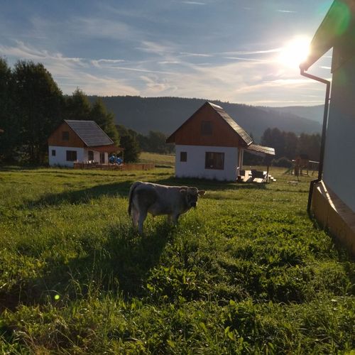 Domek drewniany 8-osobowy cały dom Komfort