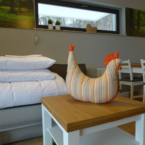 Apartament la parter cu vedere spre munte cu 2 camere pentru 4 pers.