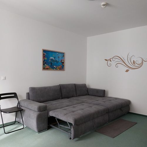 Apartament familial(ă) cu bucătărie proprie pentru 4 pers. (se inchirieaza doar integral)