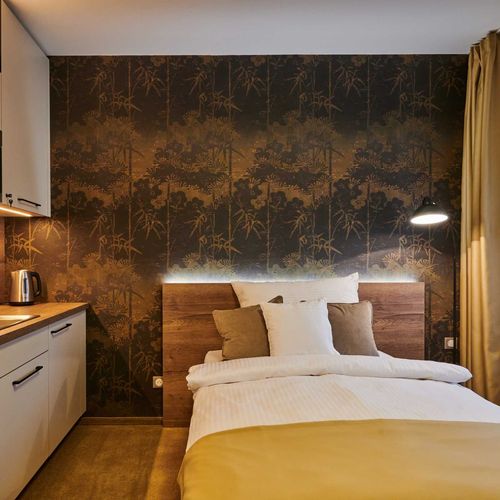 Apartament 1-osobowy Studio z prysznicem z 1 pomieszczeniem sypialnianym