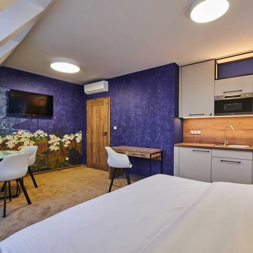 Apartament 2-osobowy Studio z prysznicem z 1 pomieszczeniem sypialnianym
