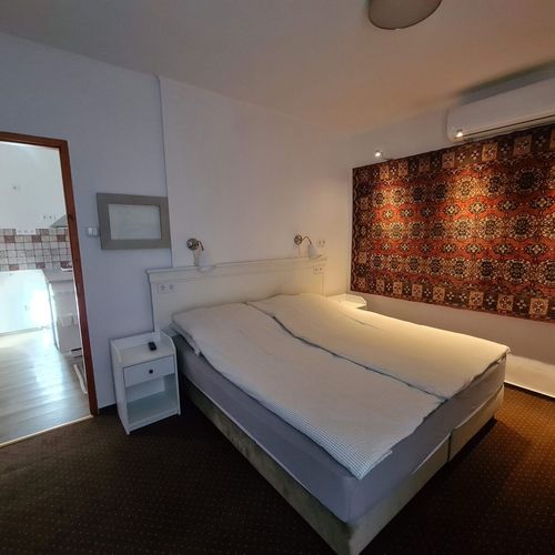 Apartament cu 1 camera pentru 3 pers.