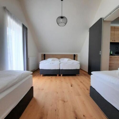 Apartament cu duș cu chicinetă proprie cu 1 camera pentru 4 pers.