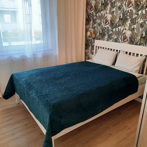 Apartament 6-osobowy Superior Family z 3 pomieszczeniami sypialnianymi