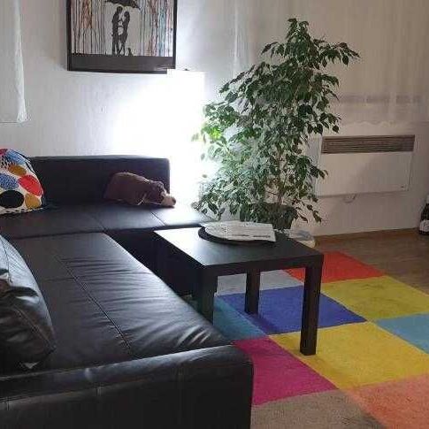 Apartament studio cu duș cu 1 camera pentru 5 pers.