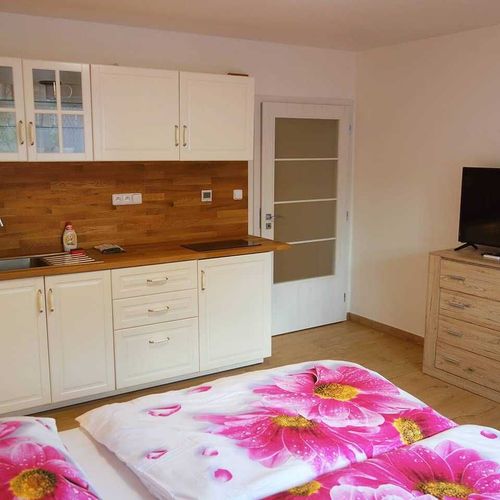Apartament cu duș cu bucătărie proprie pentru 2 pers.