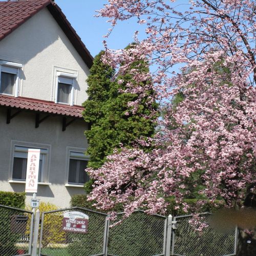 Rodinný Apartman (jako celek) pro 8 os. celý Dům (s možností přistýlky)