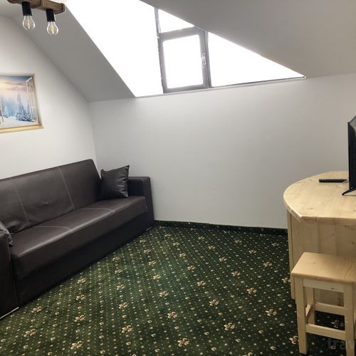 Apartament executive cu 1 camera pentru 3 pers. (se poate solicita pat suplimentar)