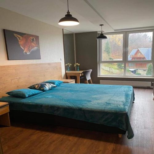 Apartament 2-osobowy z 1 pomieszczeniem sypialnianym (możliwa dostawka)