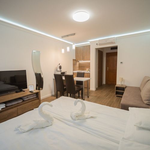 Studio Apartman s terasou s manželskou postelí s 1 ložnicí (s možností přistýlky)