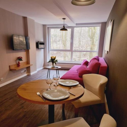 Apartament cu 1 camera pentru 2 pers. (se poate solicita pat suplimentar)