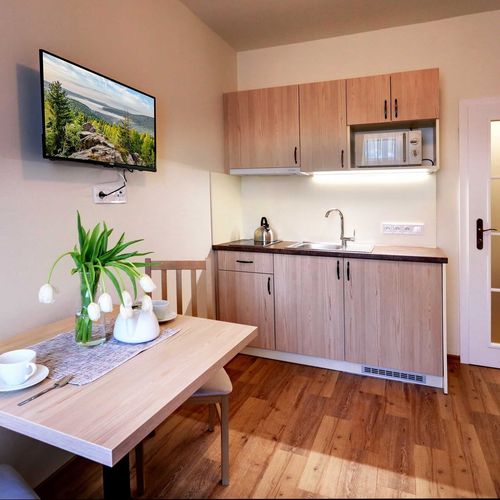 Apartman se sprchou s vlastní kuchyňkou pro 1 os. s 1 ložnicí