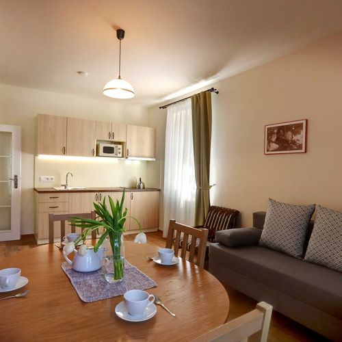 Apartman se sprchou s vlastní kuchyňkou s manželskou postelí s 1 ložnicí