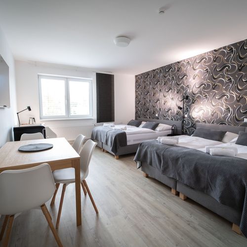 Apartament cu aer condiționat cu 1 camera pentru 4 pers.