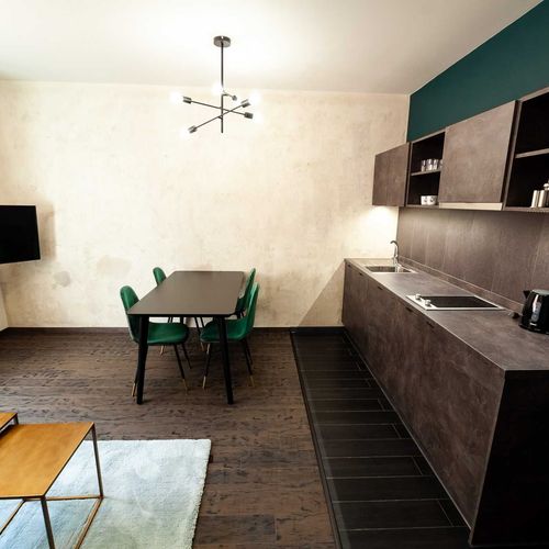 Apartman se sprchou s vlastní kuchyňkou s manželskou postelí s 1 ložnicí (s možností přistýlky)