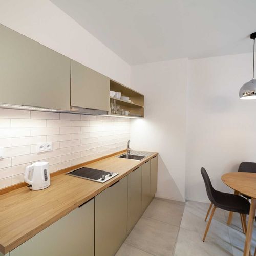 Apartman se sprchou s vlastní kuchyňkou s manželskou postelí s 1 ložnicí (s možností přistýlky)
