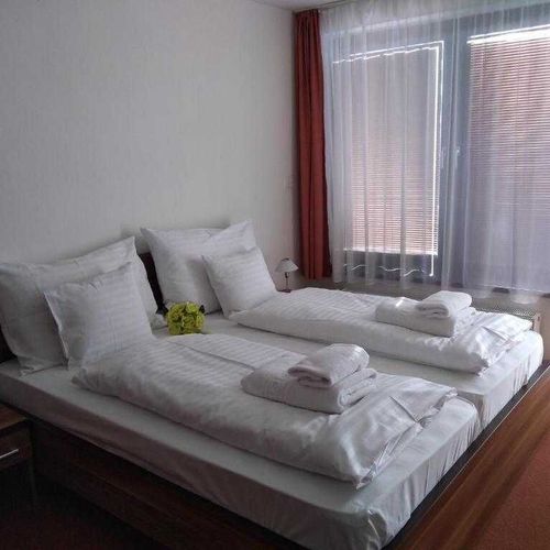 Apartament 2-osobowy Studio z prysznicem z 1 pomieszczeniem sypialnianym (możliwa dostawka)