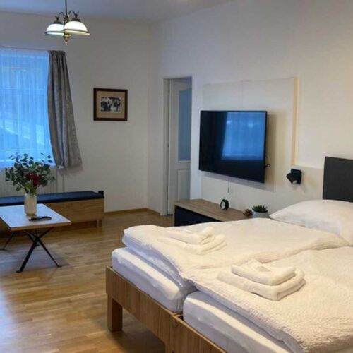 Apartament cu duș cu bucătărie proprie cu 2 camere pentru 4 pers. (se poate solicita pat suplimentar)