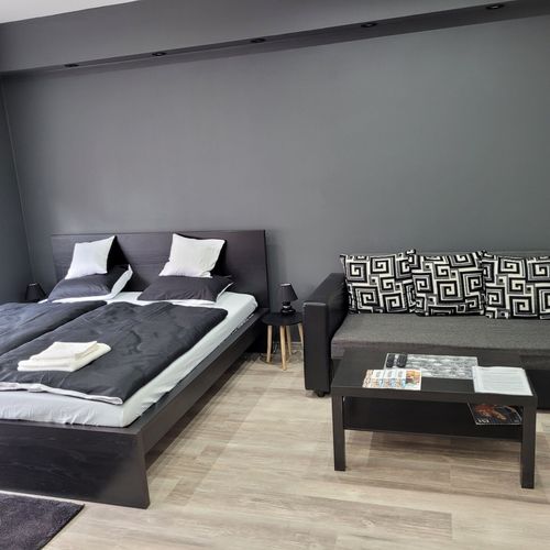 Apartament cu 1 camera pentru 2 pers.
