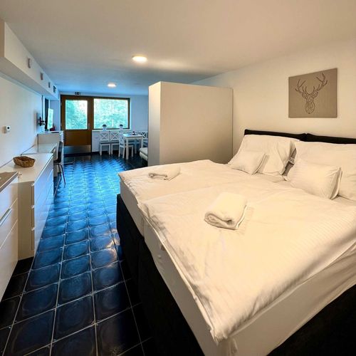 Apartament cu duș cu chicinetă proprie pentru 2 pers. (se poate solicita pat suplimentar)