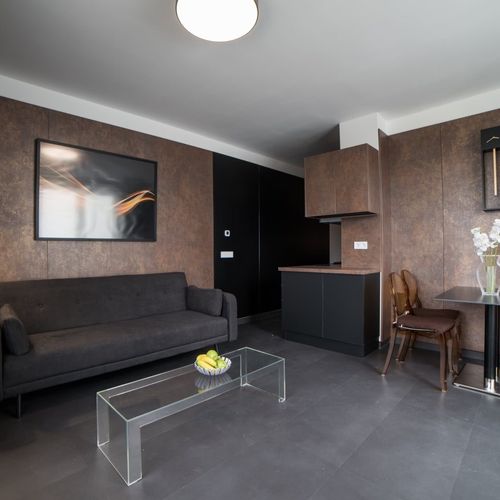 Apartament premium cu terasă cu 1 camera pentru 2 pers. (se poate solicita pat suplimentar)
