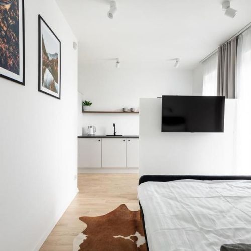 Deluxe Studio Apartman s manželskou postelí s 1 ložnicí