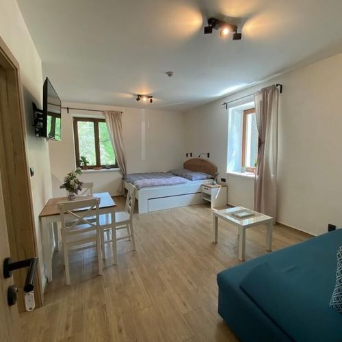 Apartament cu duș cu bucătărie proprie pentru 2 pers. (se poate solicita pat suplimentar)