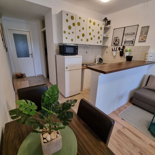 Apartament la parter cu terasă cu 1 camera pentru 2 pers. (se poate solicita pat suplimentar)