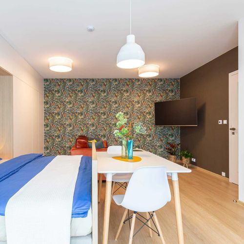 Apartament economy cu bucătărie proprie cu 1 camera pentru 2 pers. (se poate solicita pat suplimentar)