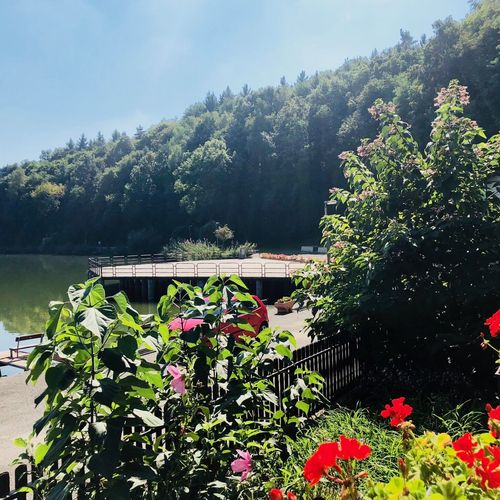 Casă de vacanță întreaga unitate cu baie pentru 41 pers. (se inchirieaza doar integral)